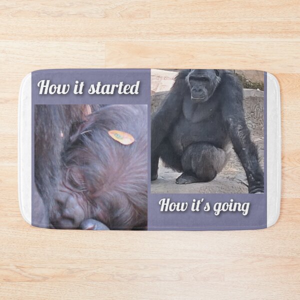 Item preview, Gus How it started/How it's going  designed and sold by Sharon the Zoo Lady Photography .