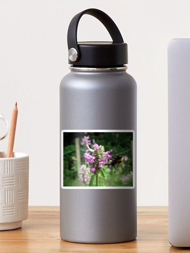 Thumbnail 1 von 3, Sticker, Blüte mit Biene designt und verkauft von Gourmetkater.