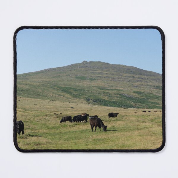 Item preview, Cattle near Yes Tor designed and sold by jamesgerardking.