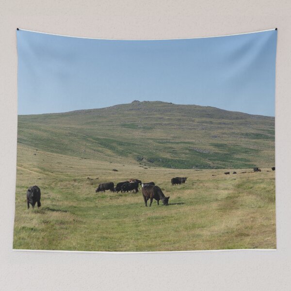 Item preview, Cattle near Yes Tor designed and sold by jamesgerardking.