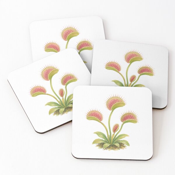 Item preview, Venus Flytrap Carnivorous Plant Botanical Study designed and sold by eignvalue.