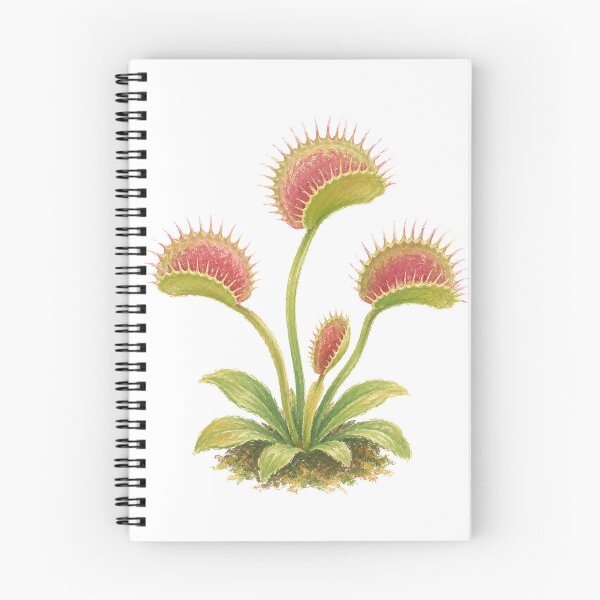 Item preview, Venus Flytrap Carnivorous Plant Botanical Study designed and sold by eignvalue.