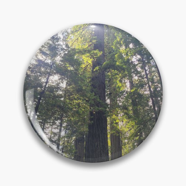 Item preview, Redwood forest canopy designed and sold by 3blueroses.