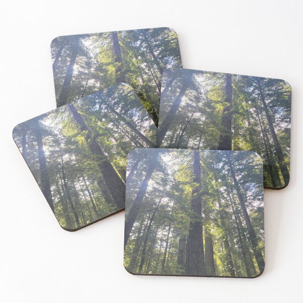 Item preview, Redwood forest canopy designed and sold by 3blueroses.