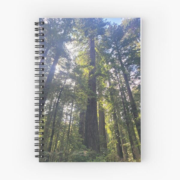Item preview, Redwood forest canopy designed and sold by 3blueroses.
