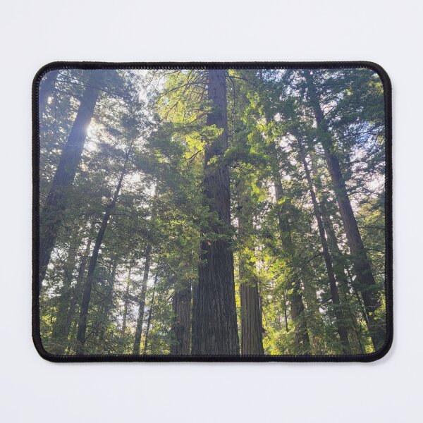 Item preview, Redwood forest canopy designed and sold by 3blueroses.