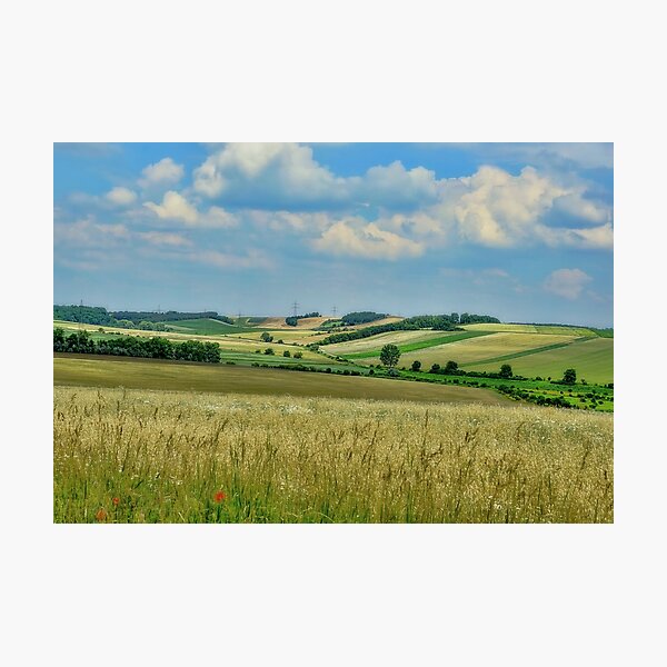 Item preview, Farmland designed and sold by Dawn van Doorn.