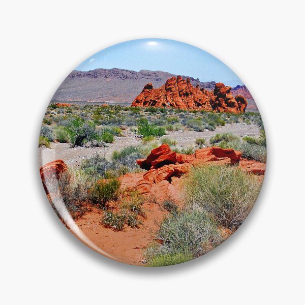 Item preview, Valley of Fire State Park, Nevada, Desert Floor Ecosystem, Geology and Plant Life designed and sold by AMacGPhilly.
