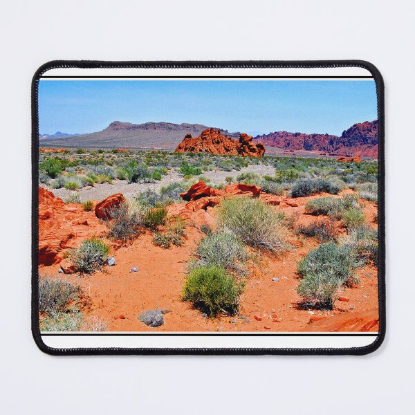 Item preview, Valley of Fire State Park, Nevada, Desert Floor Ecosystem, Geology and Plant Life designed and sold by AMacGPhilly.