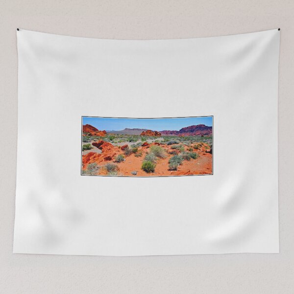 Item preview, Valley of Fire State Park, Nevada, Desert Floor Ecosystem, Geology and Plant Life designed and sold by AMacGPhilly.