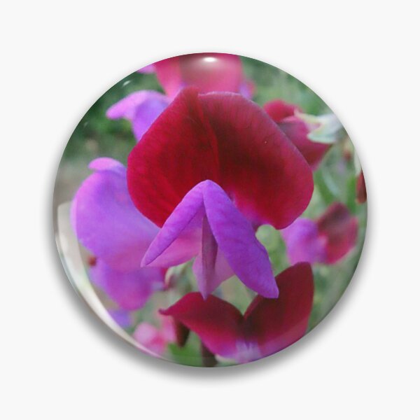 Item preview, Vibrant Sweet Peas designed and sold by Chriscolibaba.