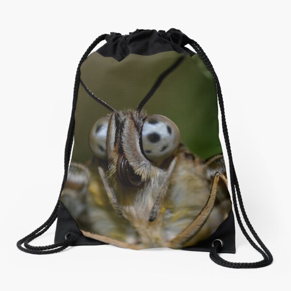 Item preview, Close Encounter........... designed and sold by Macky.
