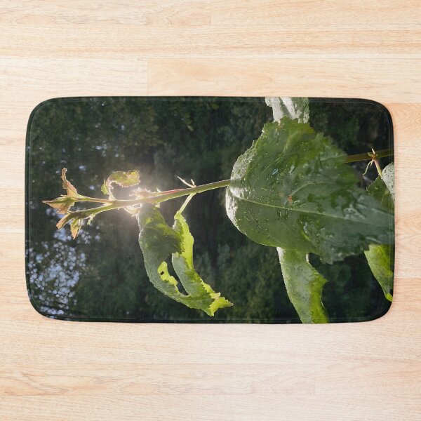 Item preview,     Sunlit Forest Leaves designed and sold by DiaSinama.