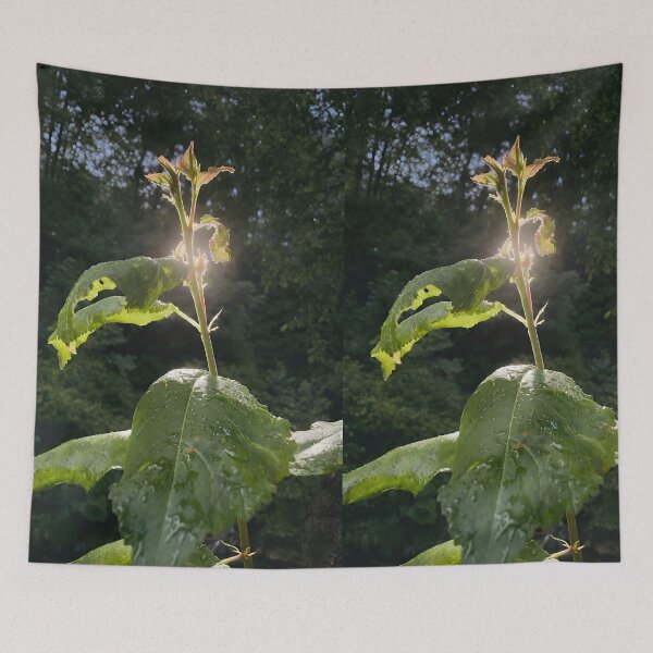 Item preview,     Sunlit Forest Leaves designed and sold by DiaSinama.