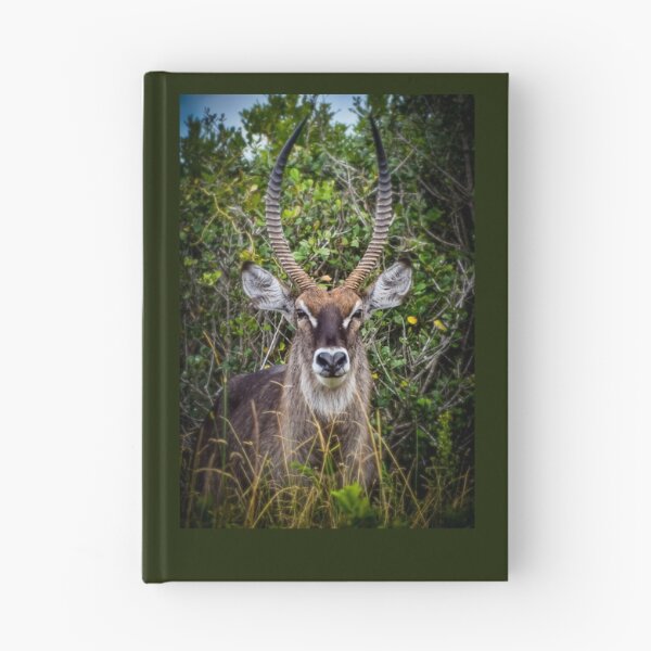 Item preview, reedbuck  designed and sold by AnneVisscher.