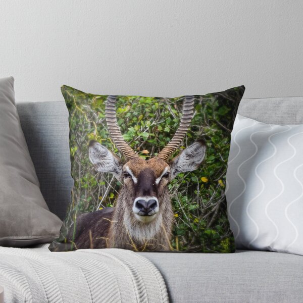 Item preview, reedbuck  designed and sold by AnneVisscher.