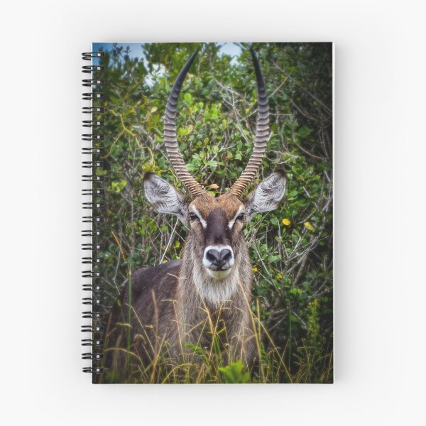 Item preview, reedbuck  designed and sold by AnneVisscher.