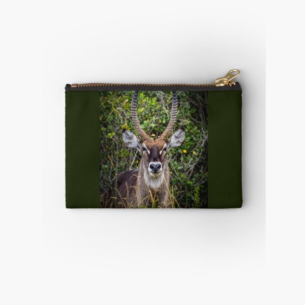 Item preview, reedbuck  designed and sold by AnneVisscher.