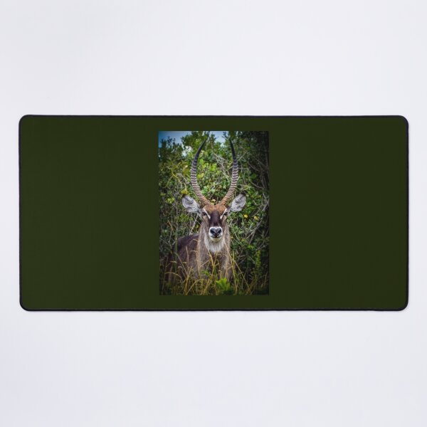 Item preview, reedbuck designed and sold by AnneVisscher.