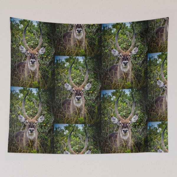 Item preview, reedbuck  designed and sold by AnneVisscher.