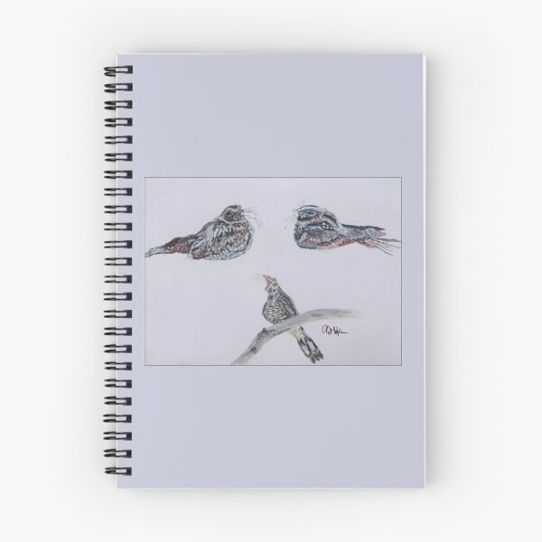 Item preview, Three Nightjars: Acrylic Painted designed and sold by charlotteroro.