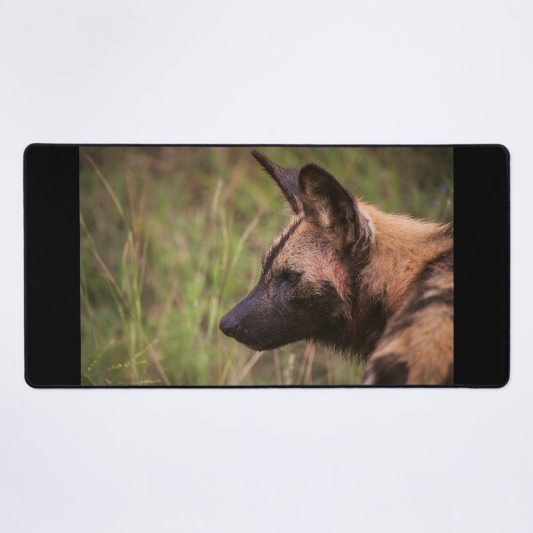 Item preview, wild dog designed and sold by AnneVisscher.