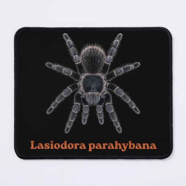 Item preview, Lasiodora parahybana SP-006 designed and sold by Exotic-Atlas.