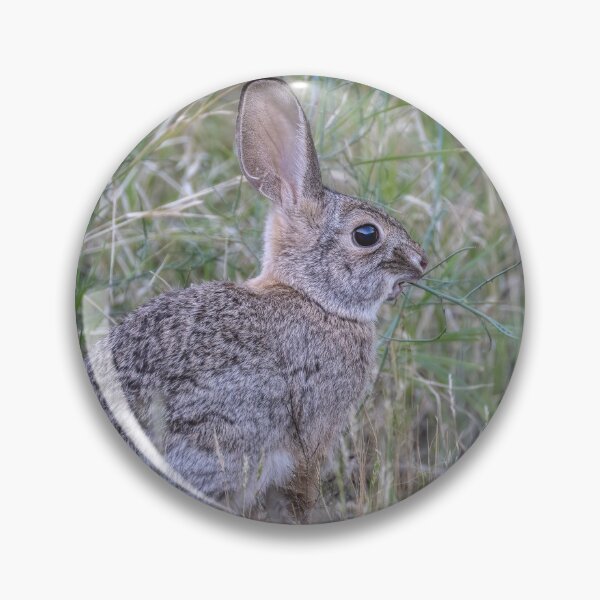Item preview, Desert Cottontail Among Tall Grasses designed and sold by PhotoArt by Joan Carroll.