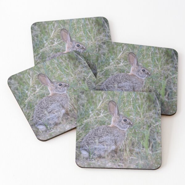 Item preview, Desert Cottontail Among Tall Grasses designed and sold by PhotoArt by Joan Carroll.