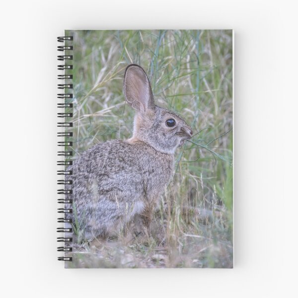 Item preview, Desert Cottontail Among Tall Grasses designed and sold by PhotoArt by Joan Carroll.