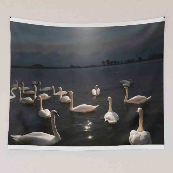 Item preview, Golden Light on Graceful Swans designed and sold by DiaSinama.