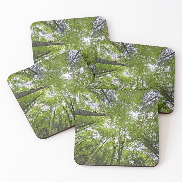 Item preview,     Looking Up Through the Forest Canopy designed and sold by DiaSinama.