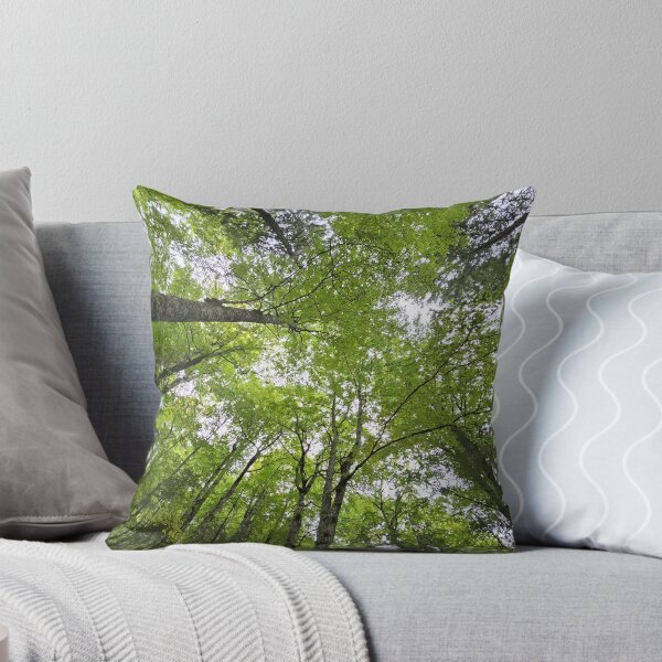 Item preview,     Looking Up Through the Forest Canopy designed and sold by DiaSinama.