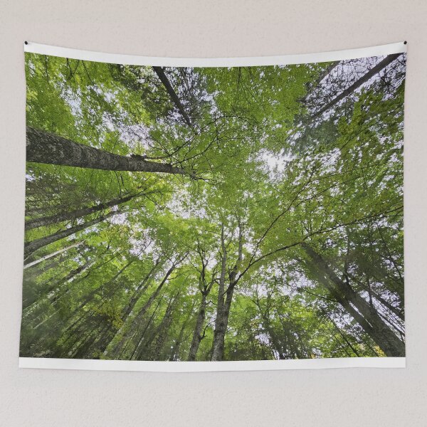 Item preview,     Looking Up Through the Forest Canopy designed and sold by DiaSinama.