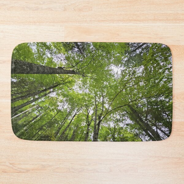 Item preview,     Looking Up Through the Forest Canopy designed and sold by DiaSinama.