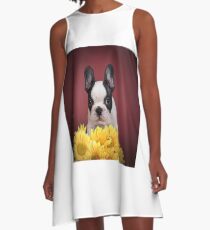 Boston Terrier puppy A-Line Dress