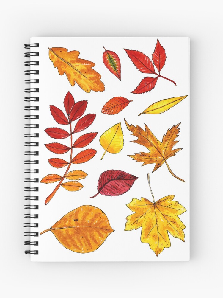 Cuaderno de espiral «Hojas de otoño» de ccorinnef | Redbubble