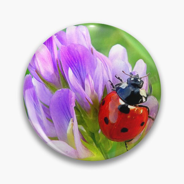 Item preview, Ladybird designed and sold by angel1.