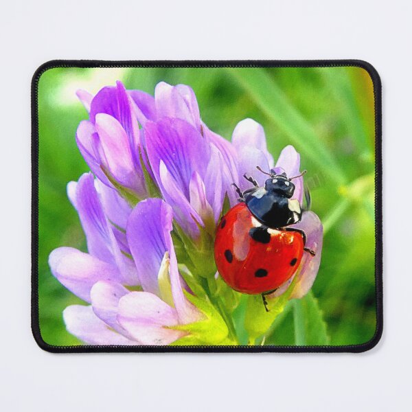 Item preview, Ladybird designed and sold by angel1.