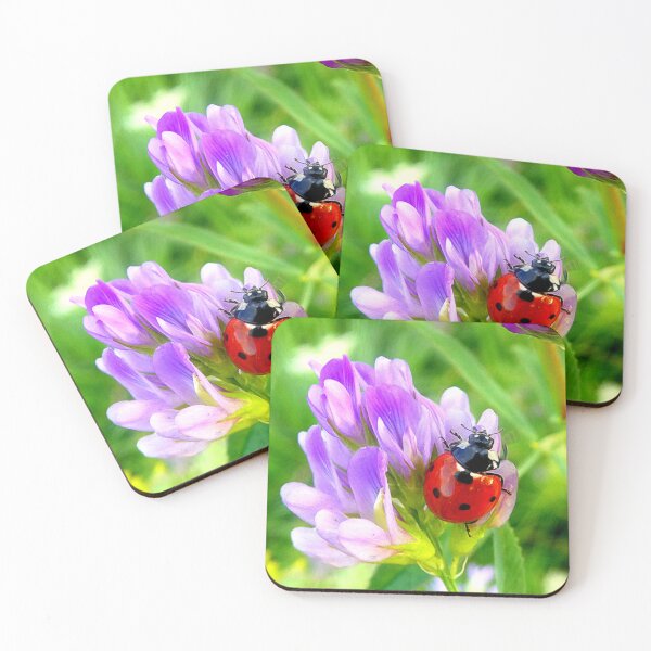 Item preview, Ladybird designed and sold by angel1.