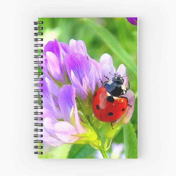 Item preview, Ladybird designed and sold by angel1.