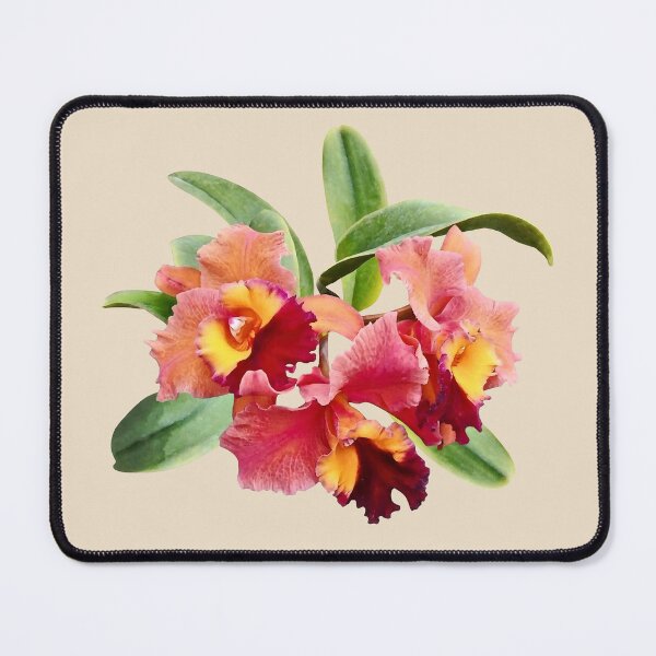 Item preview, Peach and Crimson Cattleya Orchids designed and sold by Susan Savad.
