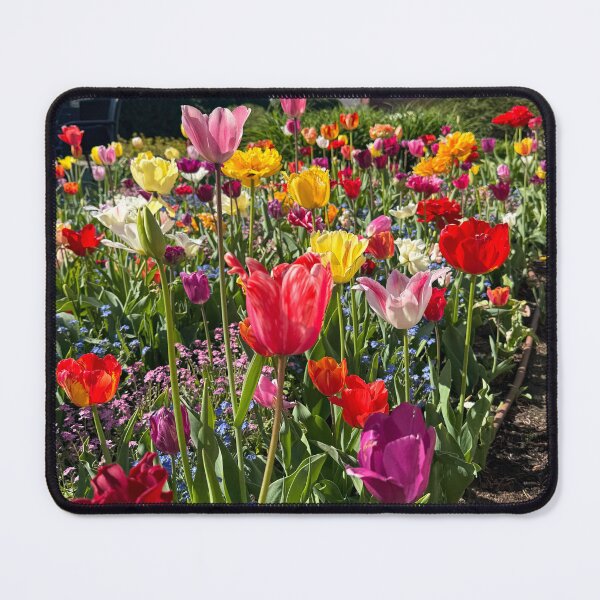 Item preview, Tulips outside Wawel Castle, Krakow designed and sold by offdutyplaces.