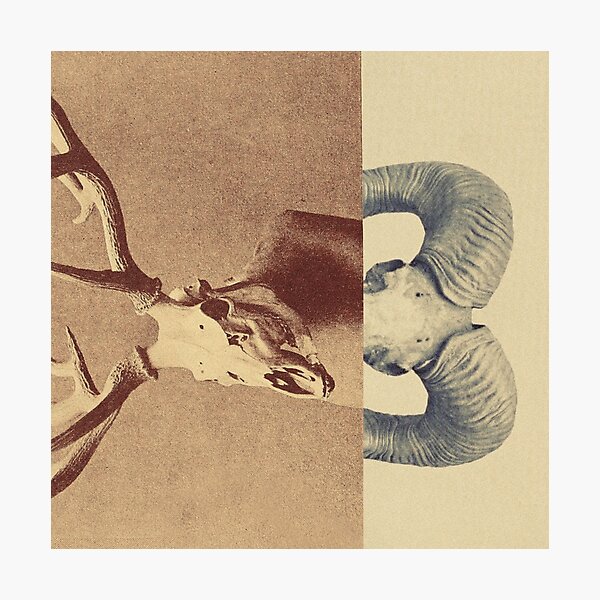 Change Photographic Print