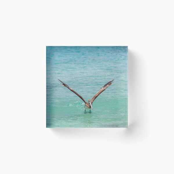 Item preview, Splashdown! I'm Landing! designed and sold by Kasia Design.