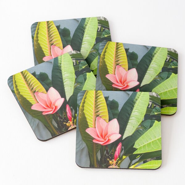 Item preview, Pink Frangipani designed and sold by Jasbindar Singh.