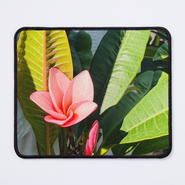 Item preview, Pink Frangipani designed and sold by Jasbindar Singh.