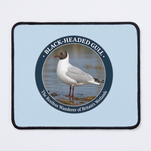 Item preview, BLACK‑HEADED GULL – The Restless Wanderer of Britain’s Wetlands designed and sold by The Digital Compass.