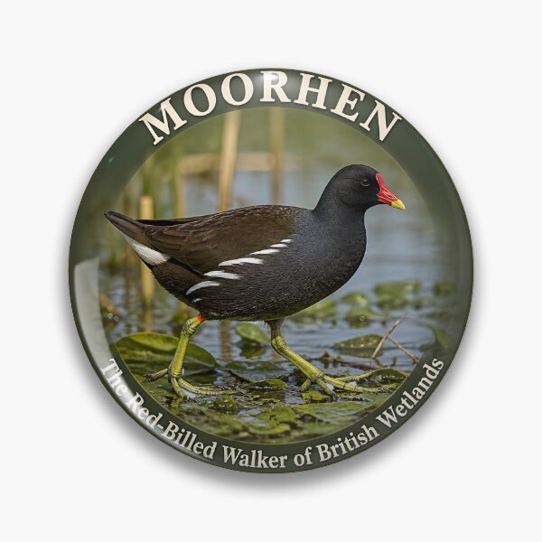 Item preview, MOORHEN    – The Red‑Billed Walker of British Wetlands designed and sold by The Digital Compass.