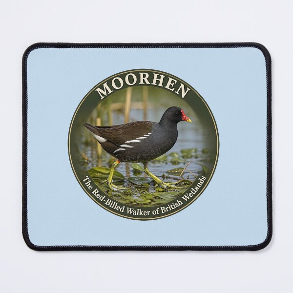 Item preview, MOORHEN – The Red‑Billed Walker of British Wetlands designed and sold by The Digital Compass.